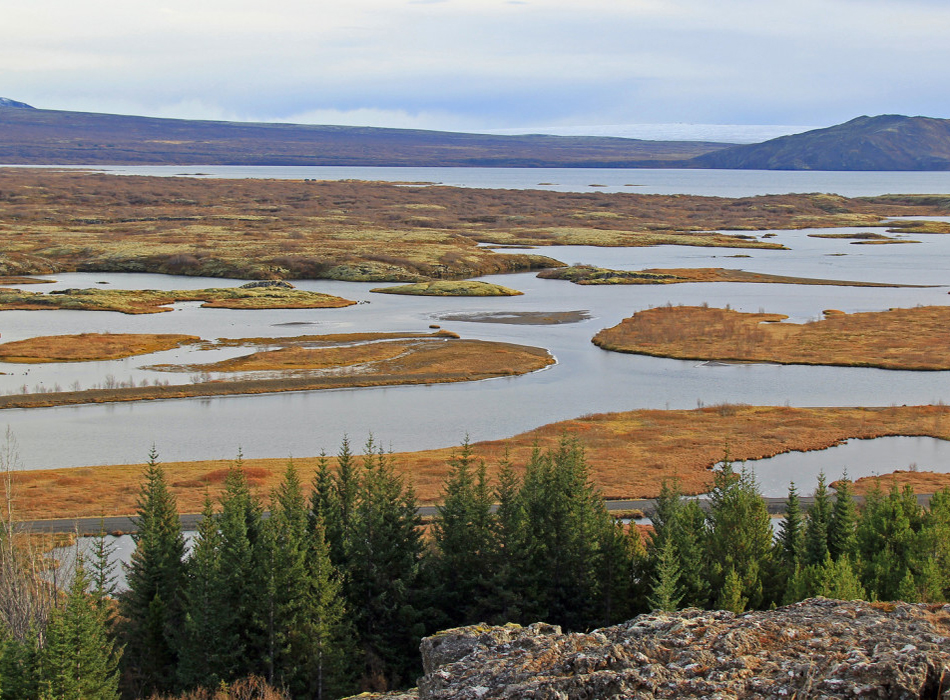 You big profit You big profit